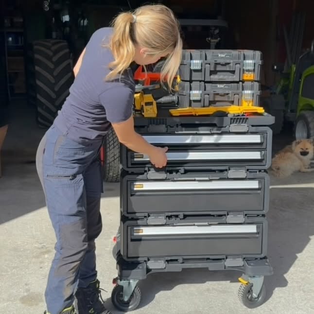 Instagram post by @heddahosaas for DEWALT. Caption reads: Came home to this @dewalt_nordic 💛

#Ad.