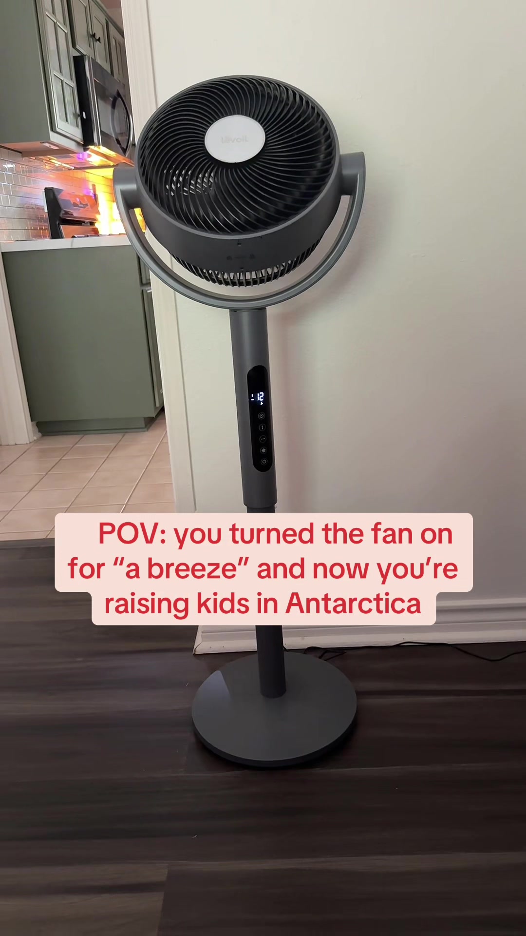 TikTok post by @kn.andrus for Levoit. Caption reads: [...] of cold but I’ll take it! @LEVOIT #fan....