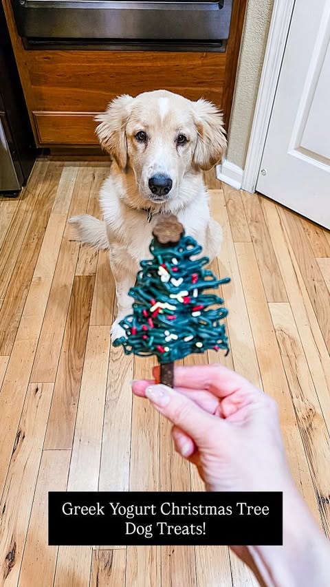 Instagram post by @theclassymamabear for Dog is Human. Caption reads: 🐾Make pup approved Greek Yogurt Christmas Tree....