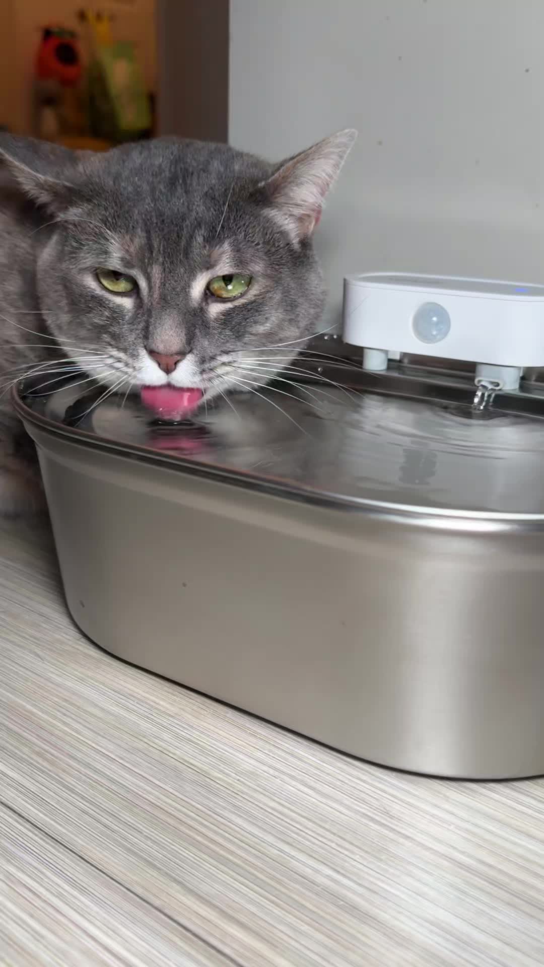 TikTok post by @weatherman_catman for Uahpet Shop US. Caption reads: We love this new fountain!! 😺 @Uahpet Shop US....