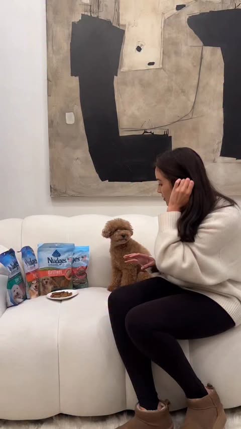 Instagram post by @oliversprinkles for blue buffalo. Caption reads: [...] they’re just too good @amazonlive....