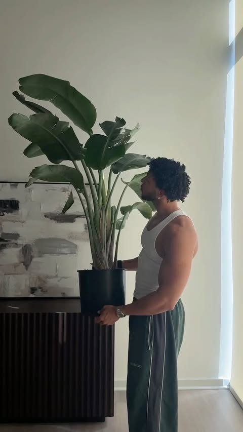 Instagram post by @xterrencebjr for Miracle-Gro. Caption reads: [...] bird of paradise, and pothos with....
