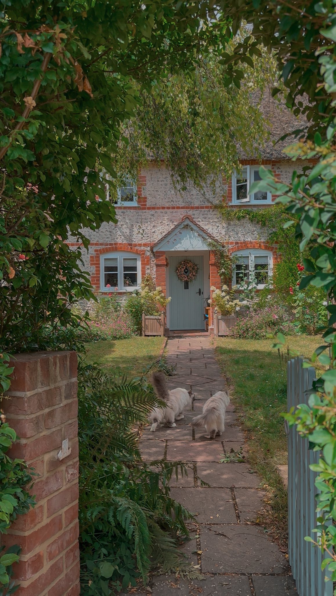 Instagram post by @hercountryliving for Arden Grange. Caption reads: Ad. It’s the cats cottage, and a typical day in....