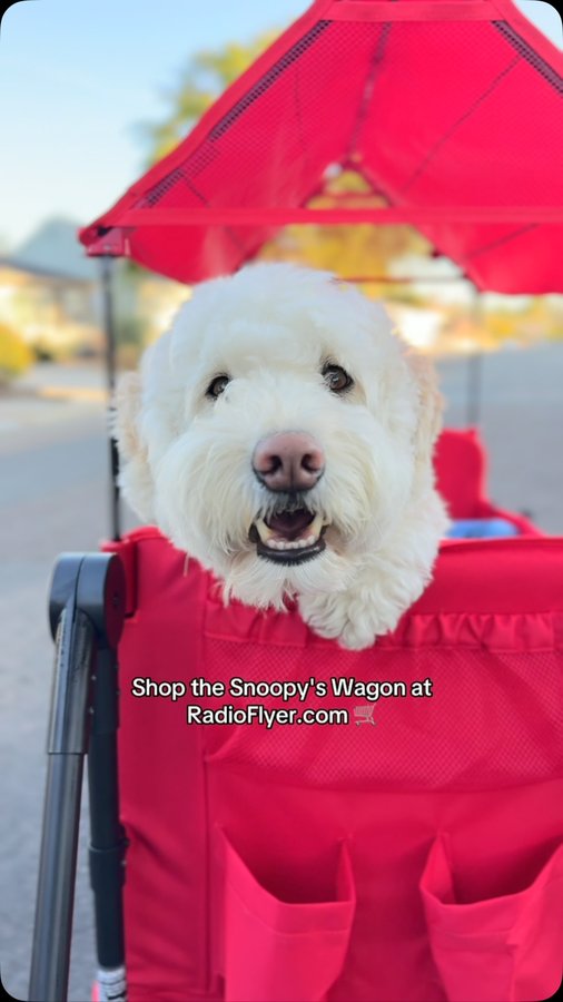 Instagram post by @mostlythedoodle for Radio Flyer. Caption reads: [...] 🚶‍♀️🐶👧 The Snoopy’s Wagon by....