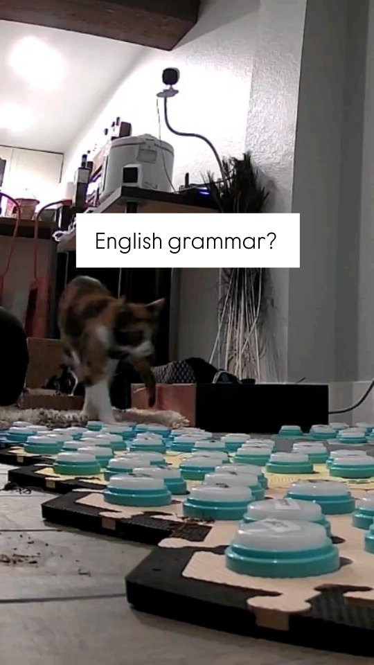 Instagram post by @elsiewants for FluentPet. Caption reads: Very occasionally, Elsie will trot out a English....