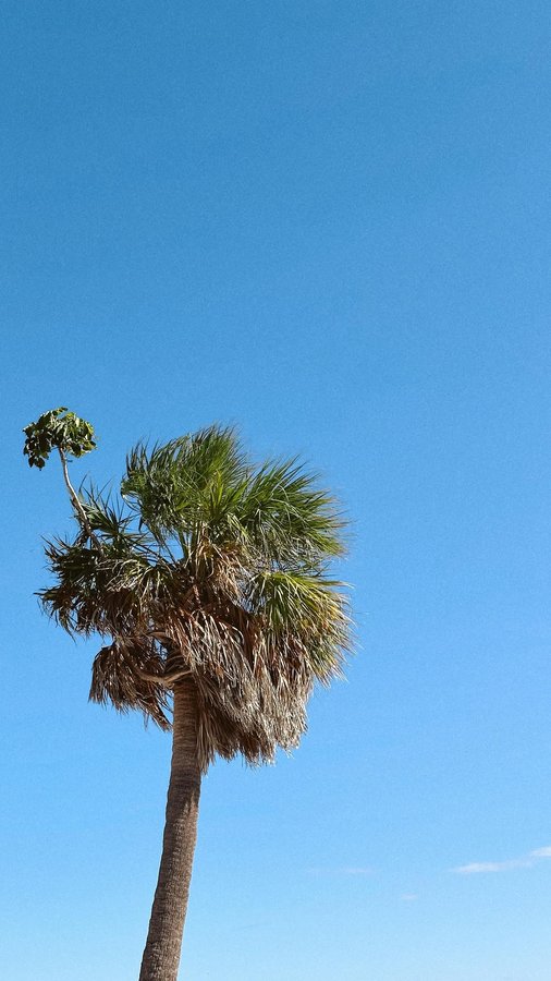 Instagram post by @samandkellysvan for Lucyd. Caption reads: [...] ☁️🌸

We have been loving wearing our....