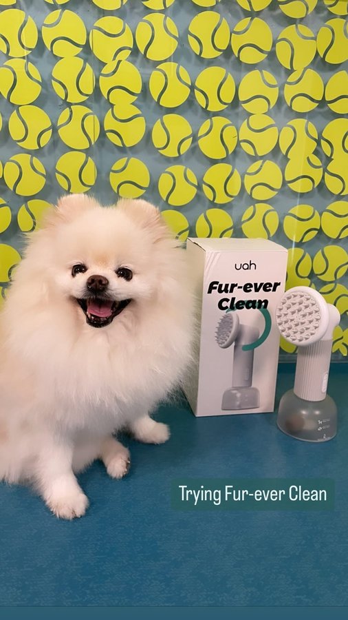 Instagram post by @snow_baby_pom for Uahpet. Caption reads: Thank you for the Uah Pet FUR-EVER CLEAN Automatic....