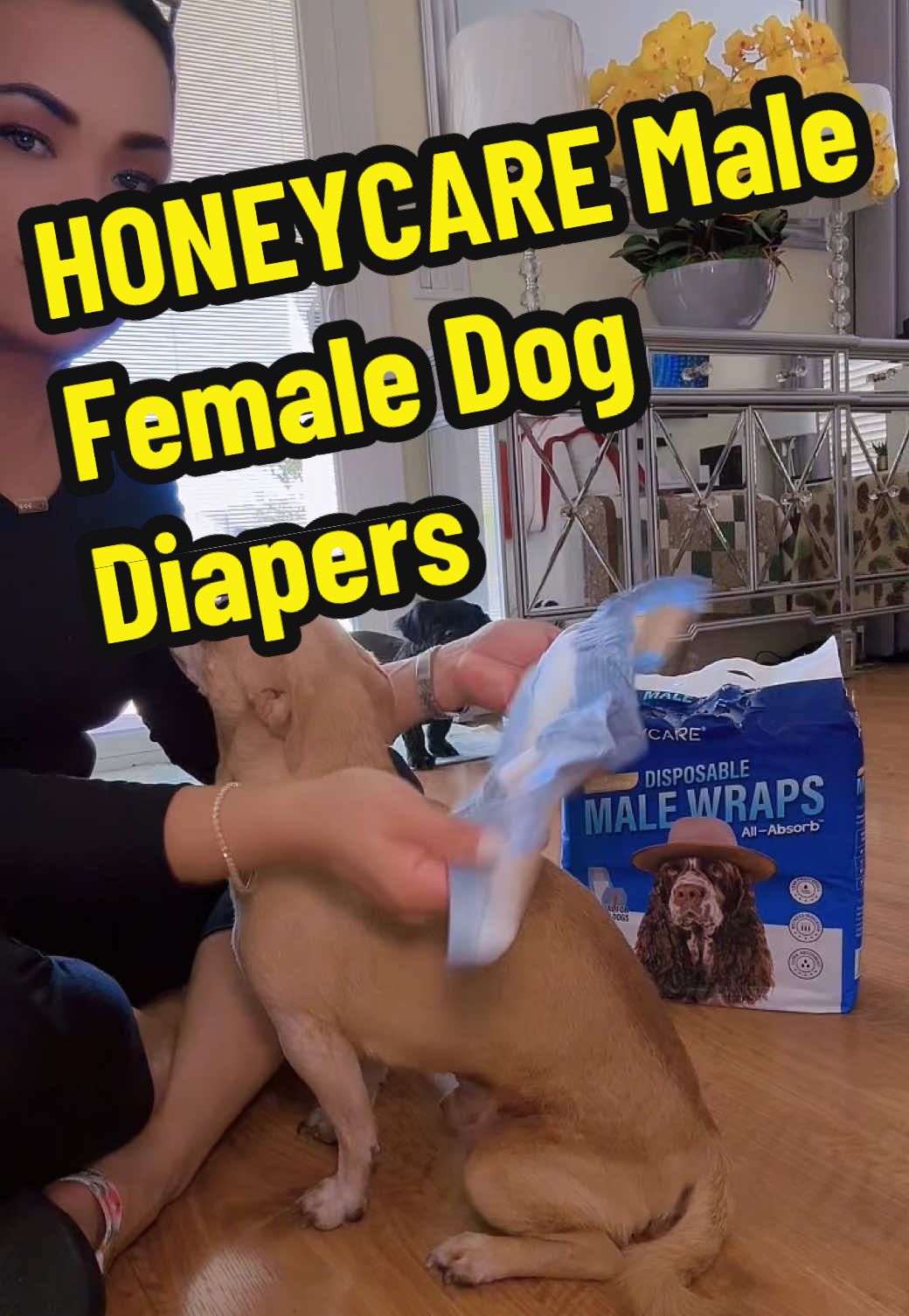 TikTok post by @maryann_usa for HoneyCarePet. Caption reads: This was a game changer. These dog pads work....