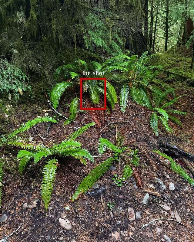 Instagram post by @nathanleeallen for Canon USA. Caption reads: The scene. The shot. The settings with the EOS C50....