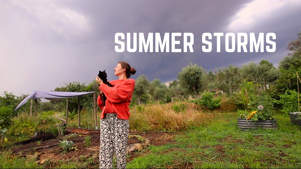 YouTube post by @FrankieOffGrid for Squarespace. Caption reads: Preparing for our Baby, Our Summer Veggie Garden....