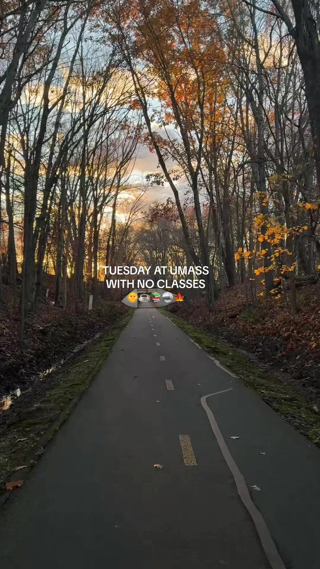 TikTok post by @shannonmcgrannn for Dae Hair. Caption reads: [...] @Divi Scalp & Hair Health 💚💇🏼‍♀️ @Dae....