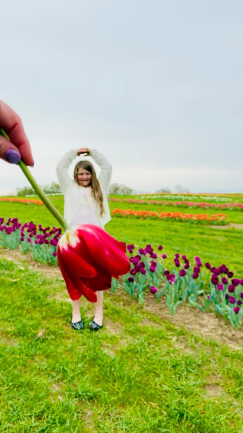 Instagram post by @madisyn_and_the3bears for FHI Heat. Caption reads: [...] and Friends UNbrush by FHI Heat just dropped....