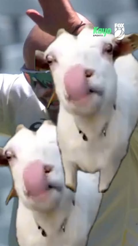 Instagram post by @thosecarterboys for Kayo Sports. Caption reads: Boy... that escalated quickly 🤣 Australia retain....