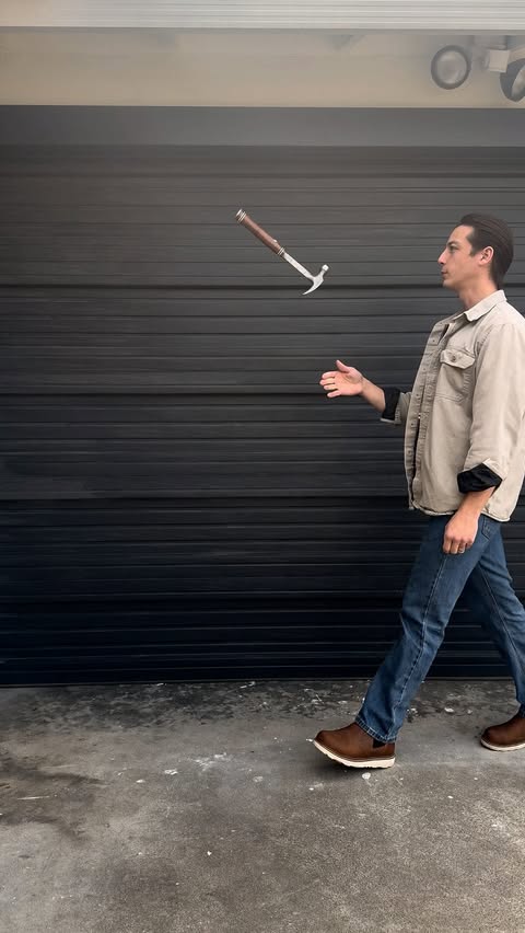 Instagram post by @meetthemosers for Pestie. Caption reads: [...] of cockroaches. Now we won’t have to!....