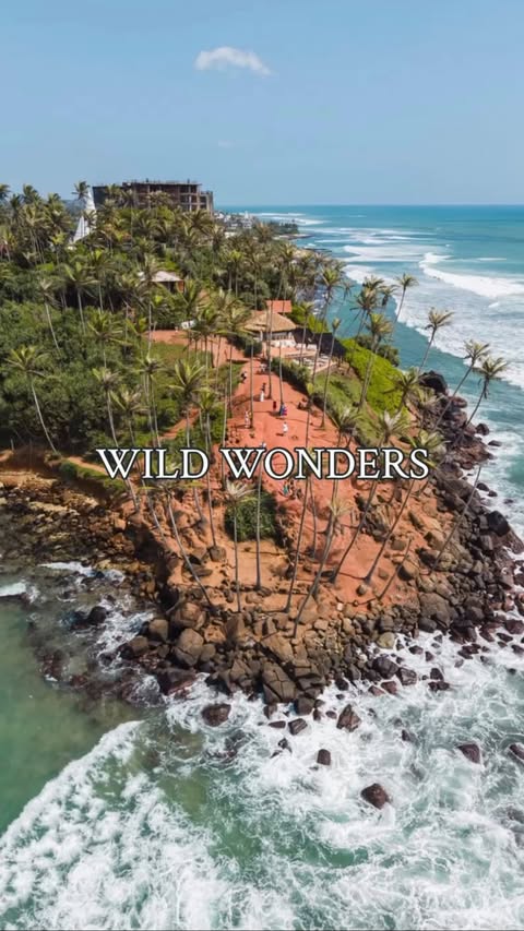 Instagram post by @papeebear for Tripadvisor. Caption reads: Sri Lanka is a place where everything feels alive....