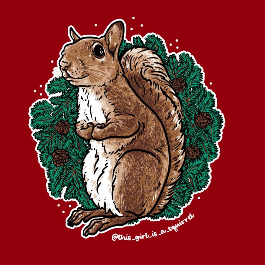 Instagram post by @this_girl_is_a_squirrel for Bonfire. Caption reads: Jill holidays shirts are here!⁣
⁣
🎄⁣
⁣
The very....