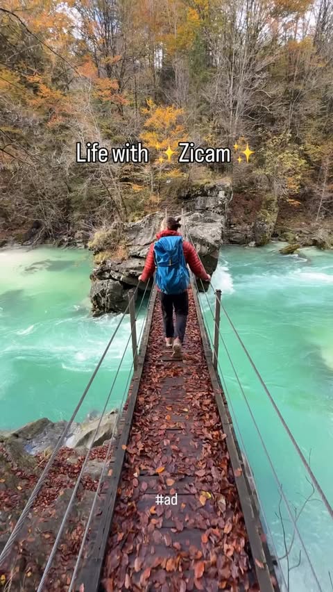 Instagram post by @travelwithdalt for Zicam. Caption reads: [...] sick 🤧 

That’s why I partnered with @zicam....