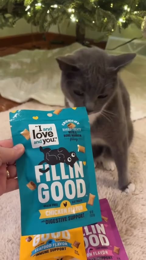 Instagram post by @purrfectinfluencer for I and love and you. Caption reads: 𝑵𝒆𝒘 𝑹𝒆𝒍𝒆𝒂𝒔𝒆 @iandloveandyoupet Fillin....