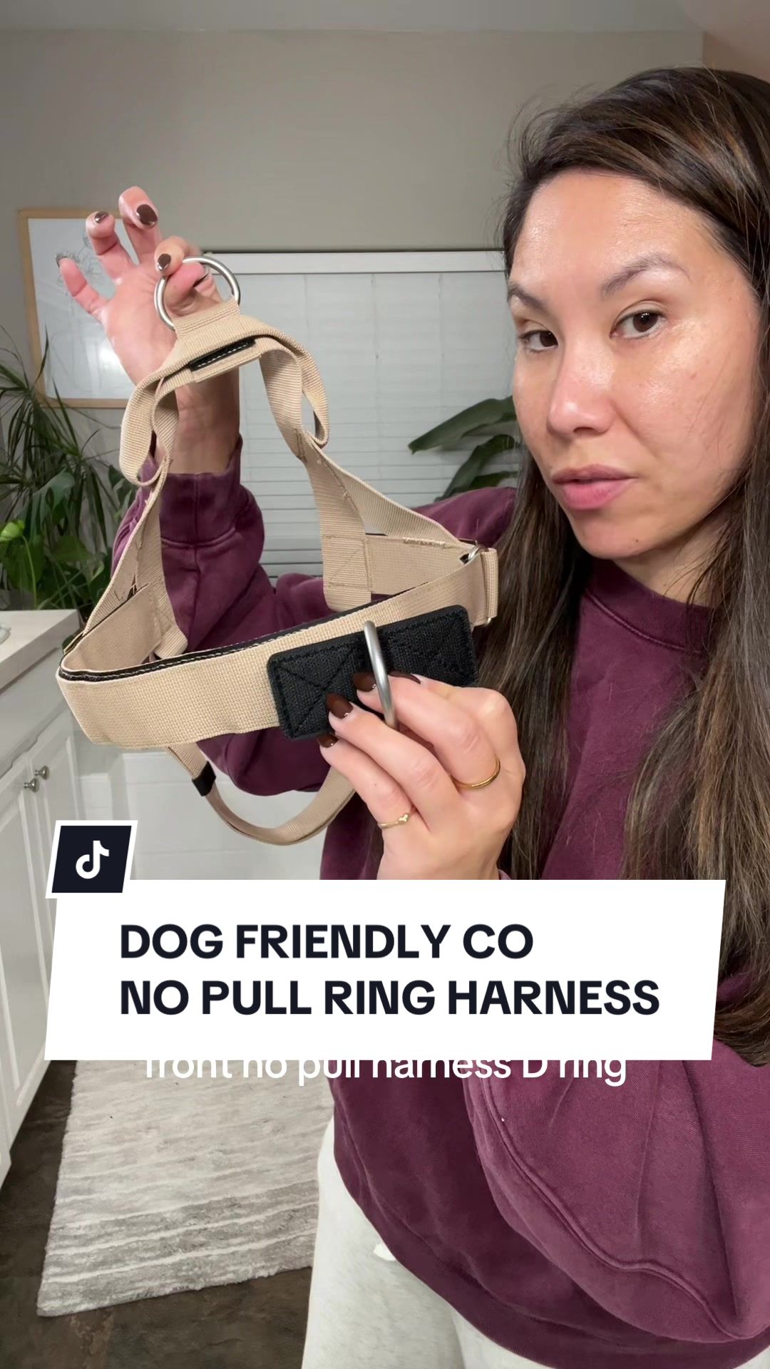 TikTok post by @kayleenseng for Dog Friendly Co. Caption reads: [...] front facing no pull D ring to your....