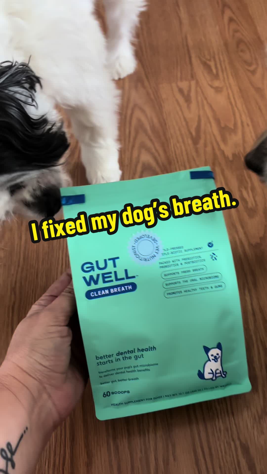 TikTok post by @eyeseaofblue for Native Pet. Caption reads: [...] like fixes that actually make sense. @Native....