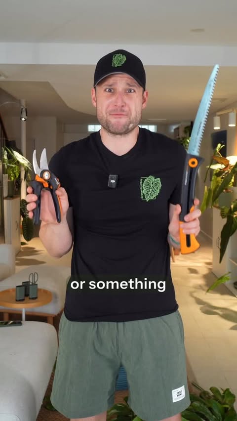 Instagram post by @sydneyplantguy for Fiskars. Caption reads: Love chopping? @fiskars has the tools for you! The....