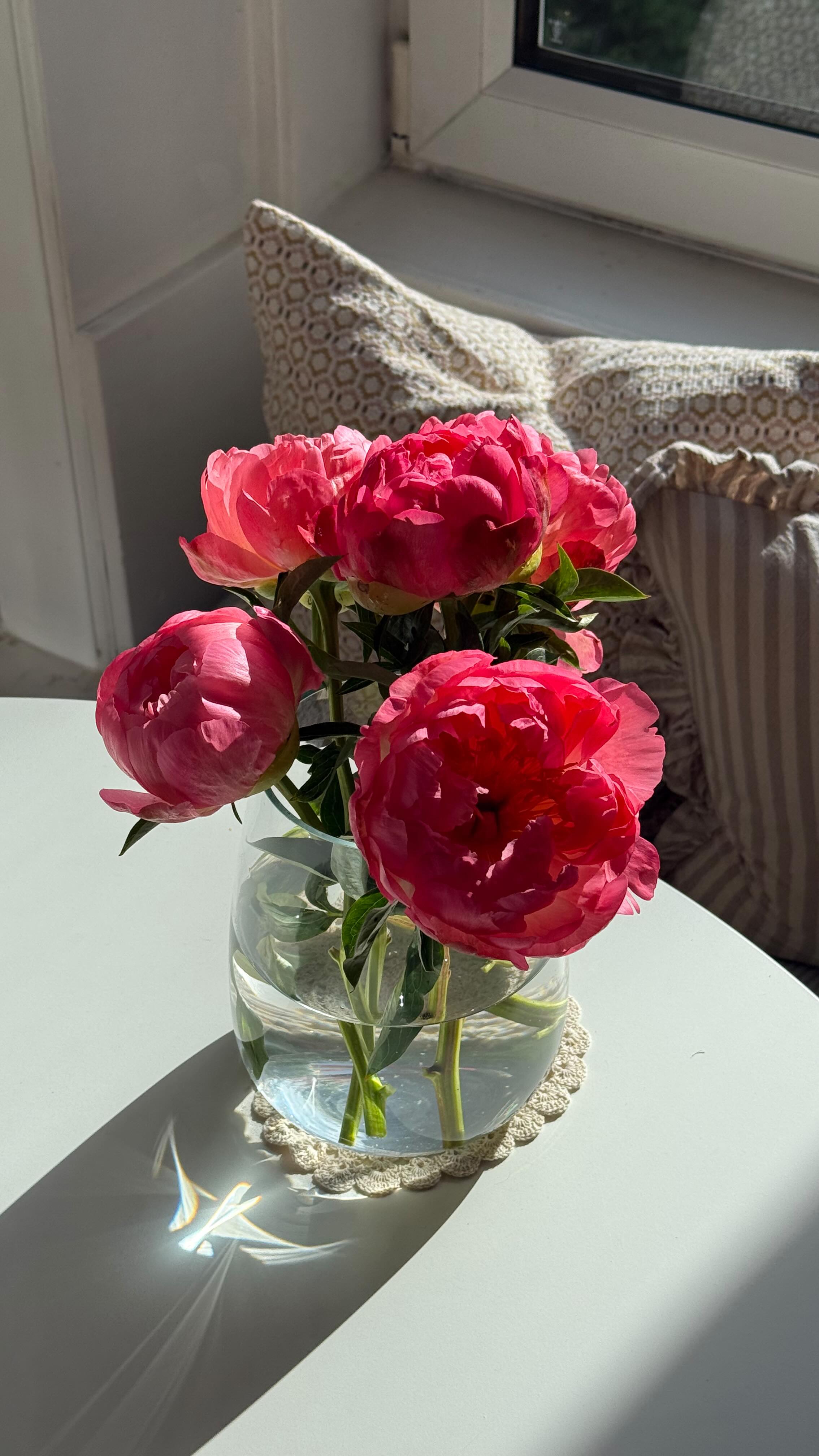 Instagram post by @molly.mcfarlane for Montirex. Caption reads: Yoga mornings in @montirex @montirexwomens....