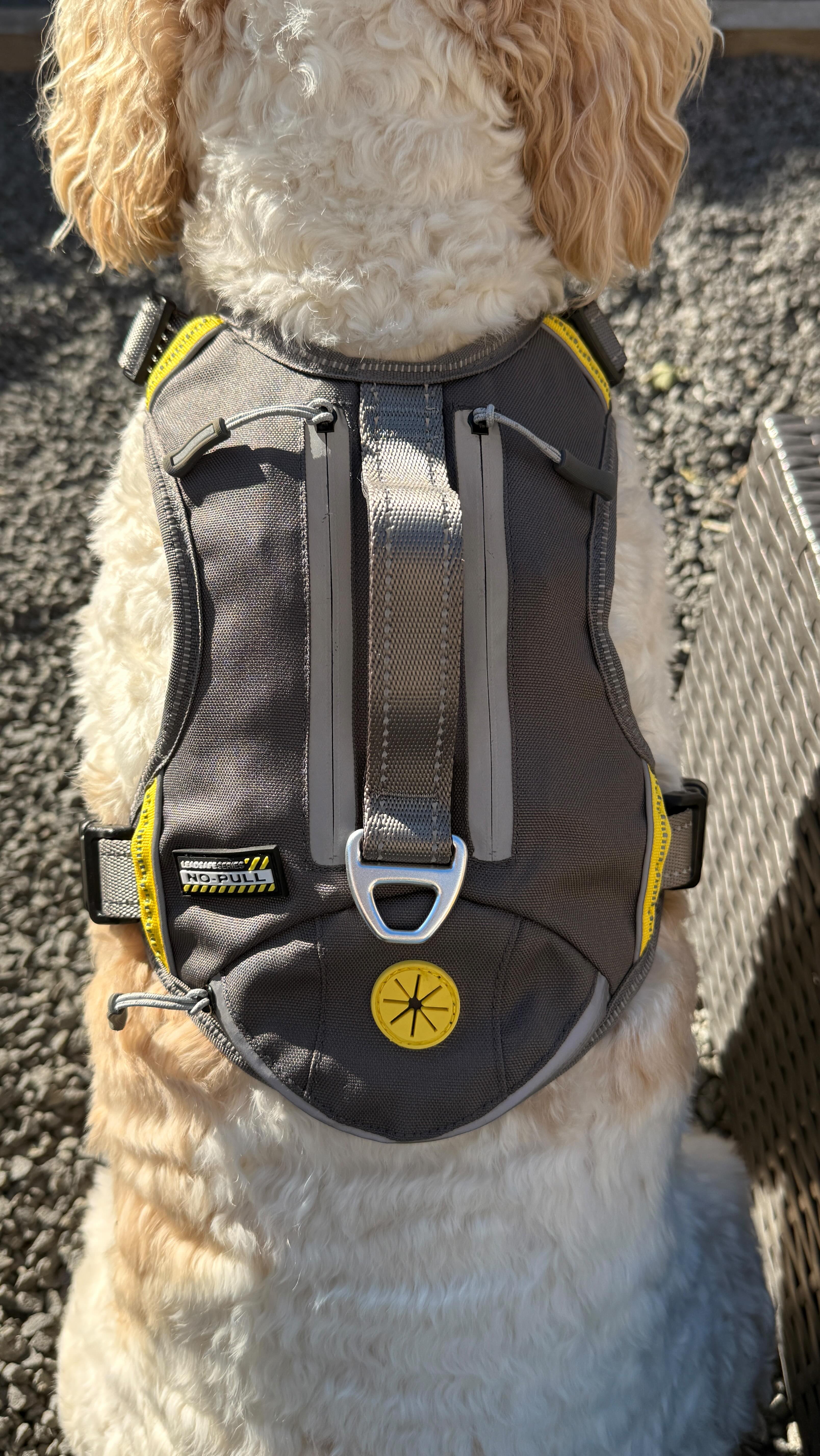 Instagram post by @peanutmcdthecockapoo for FidaPet. Caption reads: We finally got to try out the @fidapet Autobrake....