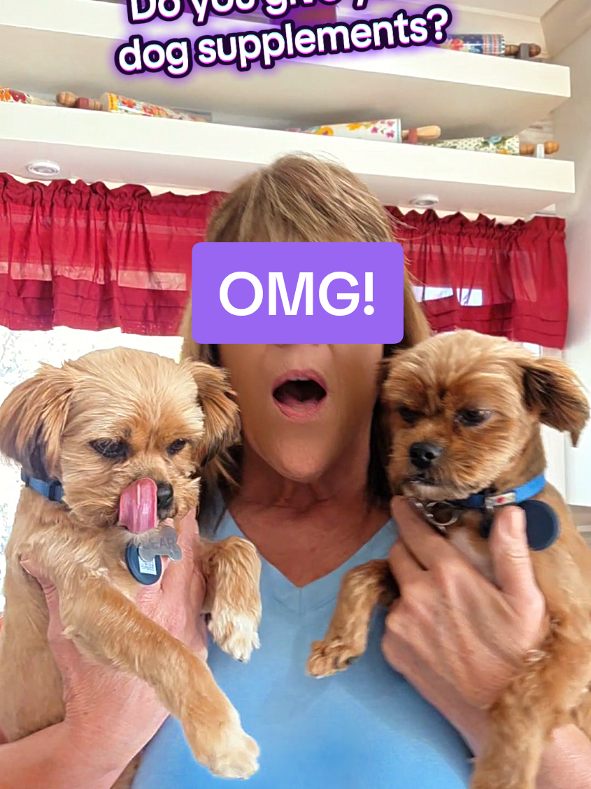 TikTok post by @shorkiebros for Bernie's Best. Caption reads: Do you give your dog supplements? #omega3fordogs....