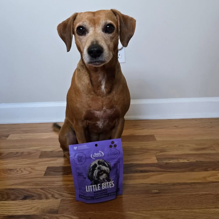 Instagram post by @iceeresults for NutriSource Pet Foods. Caption reads: @influenster @nutrisourcepetfoods #complimentary....