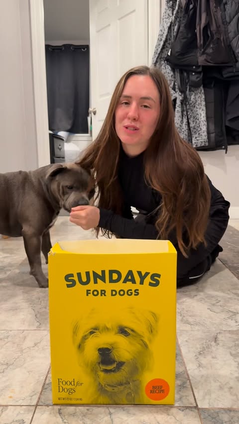 Instagram post by @enzothebluestaffordshire for Sundays for Dogs. Caption reads: [...] literally eat anything but put my....