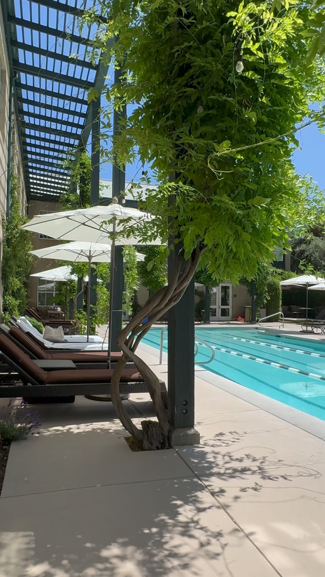 Instagram post by @thestephmarx for Coola. Caption reads: Why Health Spa Napa Valley is a must this  summer....