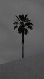 Instagram post by @ania_ddd for Syoss. Caption reads: My secret weapon for quickly degreasing my hair 🩵....