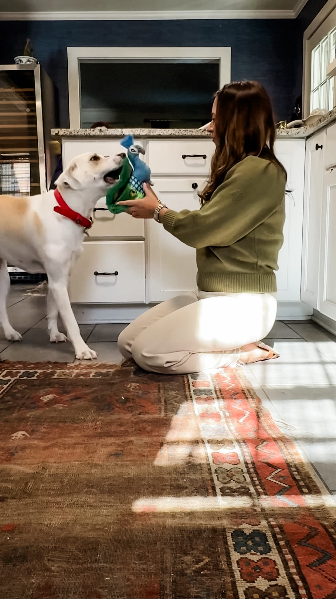 Instagram post by @curatedmorrorless for Freshpet. Caption reads: [...] and a happy, healthy pup? Consistency.....