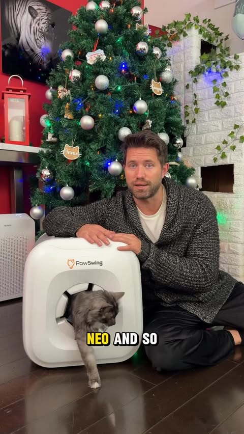 Instagram post by an influencer for PawSwing. Caption reads: The @pawswing_official is such a good [...].