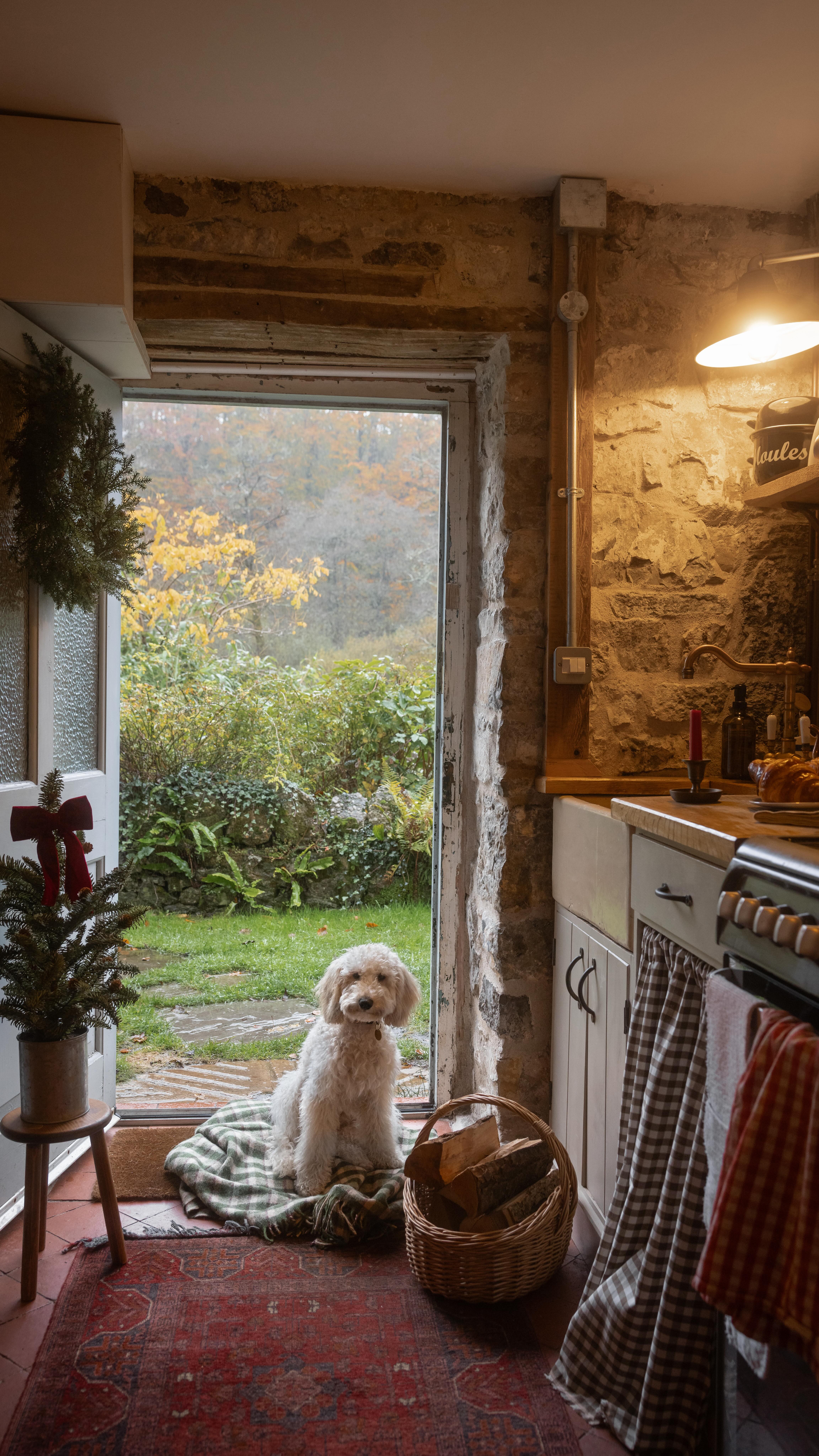 Instagram post by @sophiegardner for The Cotswold Company. Caption reads: Winter walks & festive feasts

Ralph and I have....