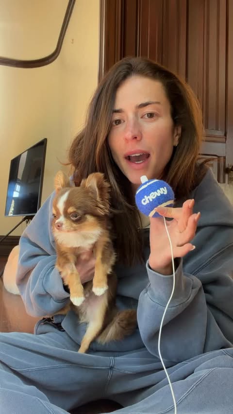 Instagram post by @victoriaparis for Chewy. Caption reads: No more stinky dog breath thanks to @chewy....