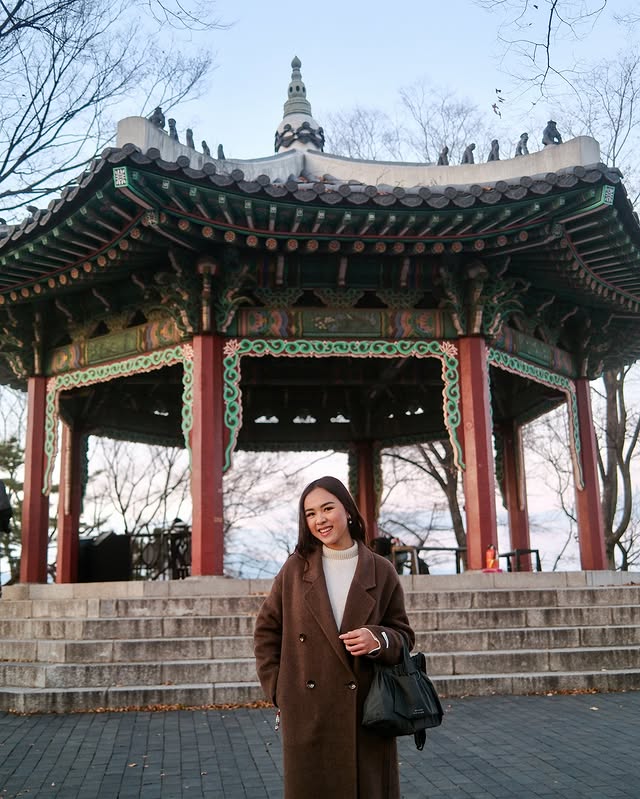 Instagram post by @gladysvctry for Beyond The Vines. Caption reads: Namsan Seoul Tower, November 2025🤎🍂.