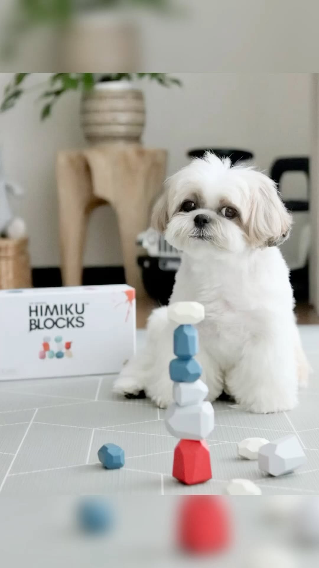 Instagram post by @fuku_hani_diary for Himiku. Caption reads: \ HIMIKU BLOCKS 🧱....