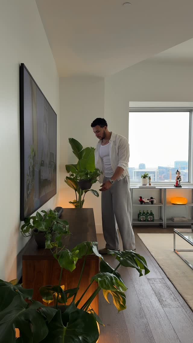 Instagram post by @xterrencebjr for Miracle-Gro. Caption reads: Indoor plants bring life into your space with....