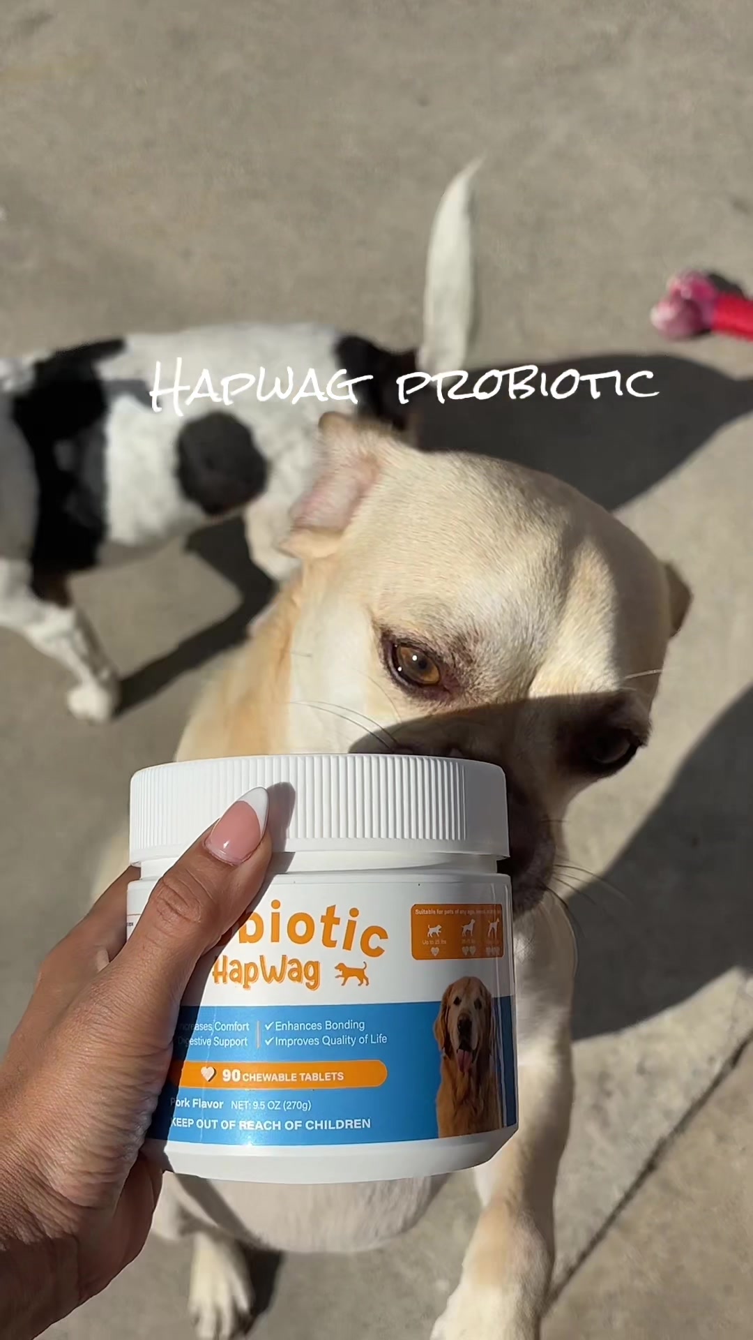 TikTok post by @senorinaanabel for HapWag. Caption reads: His favorite chewable 🍖....