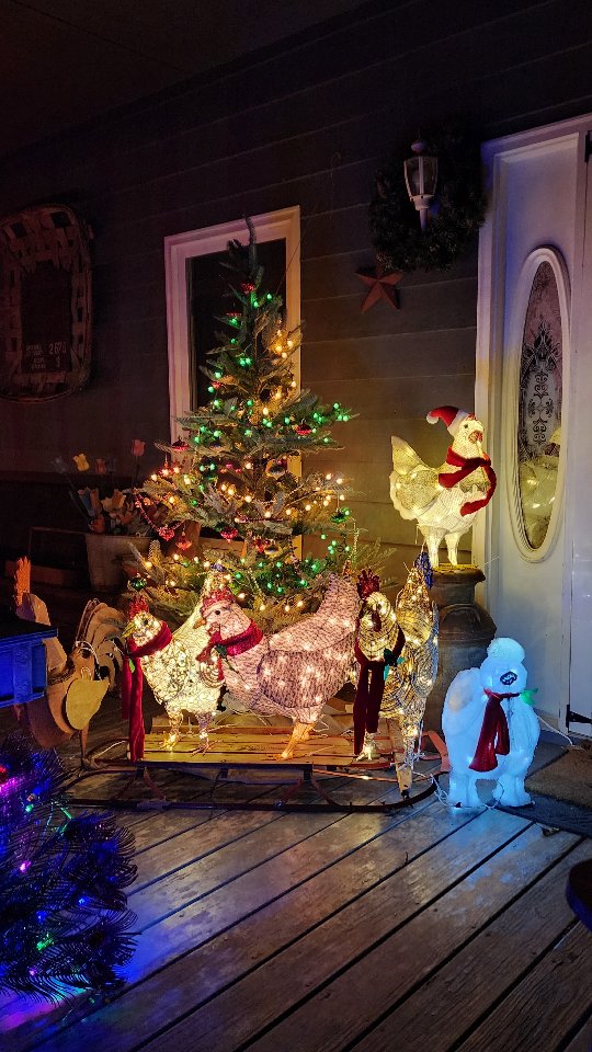 Instagram post by @ourlittlebluefarmhouse for Tractor Supply. Caption reads: Every year, we get another Christmas chicken, and....