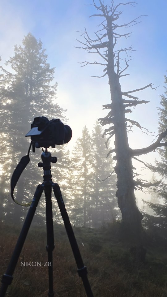 Instagram post by @kilianschoenberger for Nikon DACH. Caption reads: [...] during the recent weeks
w Nikon Z8....