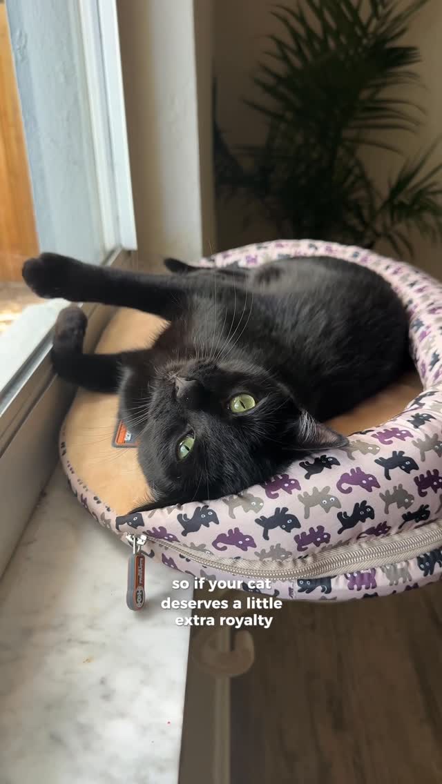 Instagram post by @herhouseofcats for K&H Pet Products. Caption reads: Spoil your cat and save big! 🐾 AD

The K&H Deluxe....