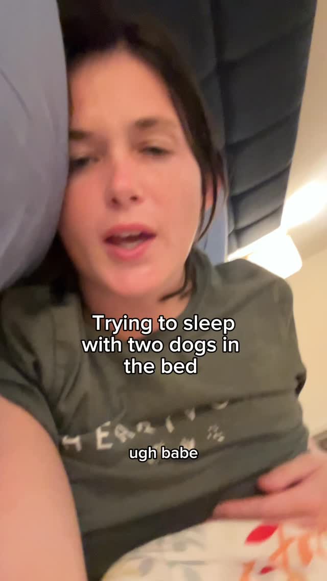 Instagram post by @vibeslut for Leesa. Caption reads: Sleep comfortably even when your dogs make you....