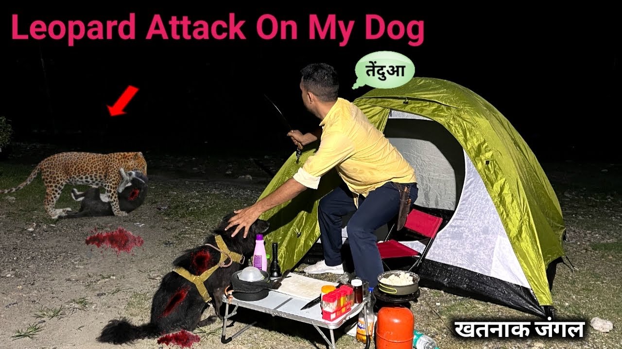 YouTube post by @indocamping for BeaverCraft Tools. Caption reads: Leopard Attacked Me & My Dog Leopard attacked....