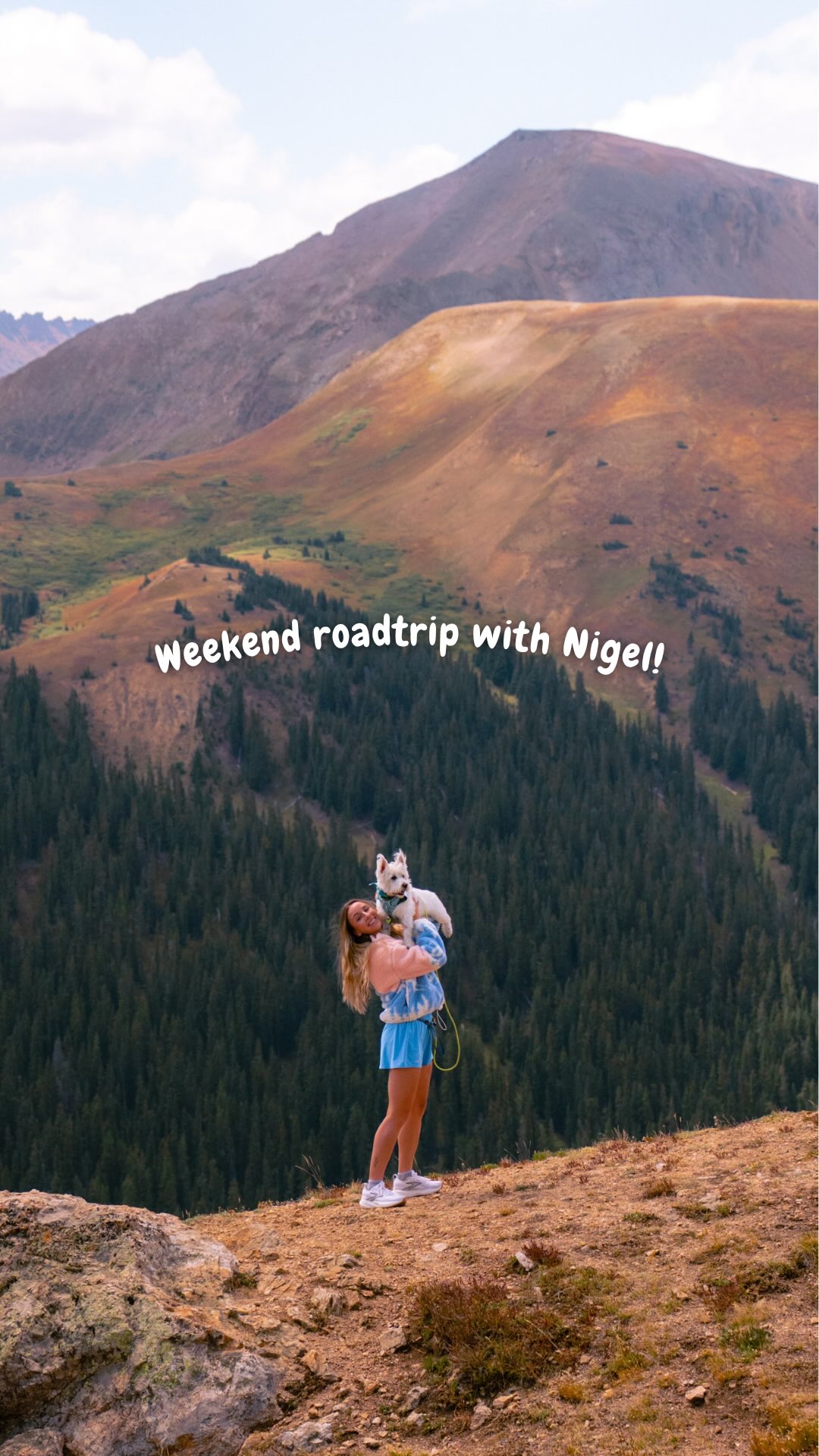 Instagram post by @dashaslens for Freshpet. Caption reads: [...] ➡️ repeat 🐾

Nigel’s been eating @freshpet....