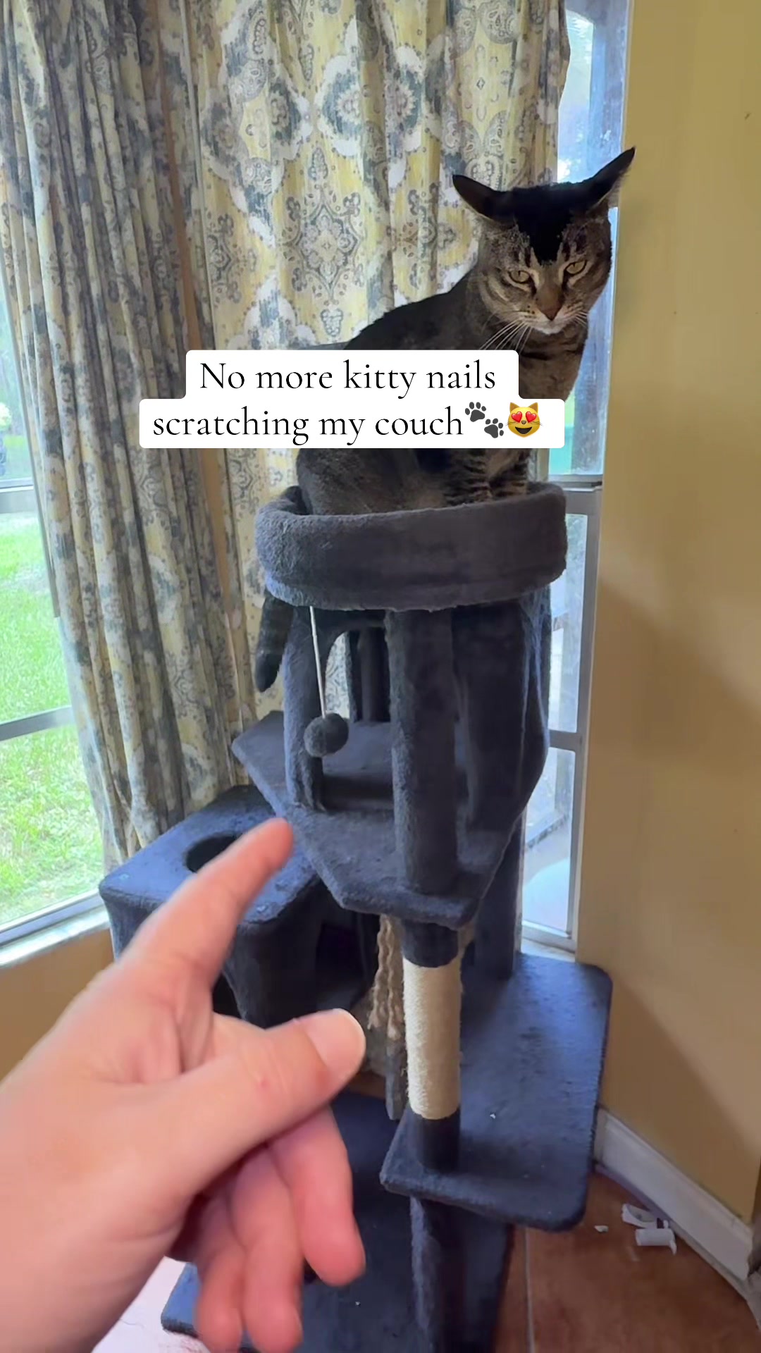 TikTok post by @justa_afrikaansmomma for WeCharmer Store. Caption reads: [...] #cataccessories #cattree @WeCharmer Store.