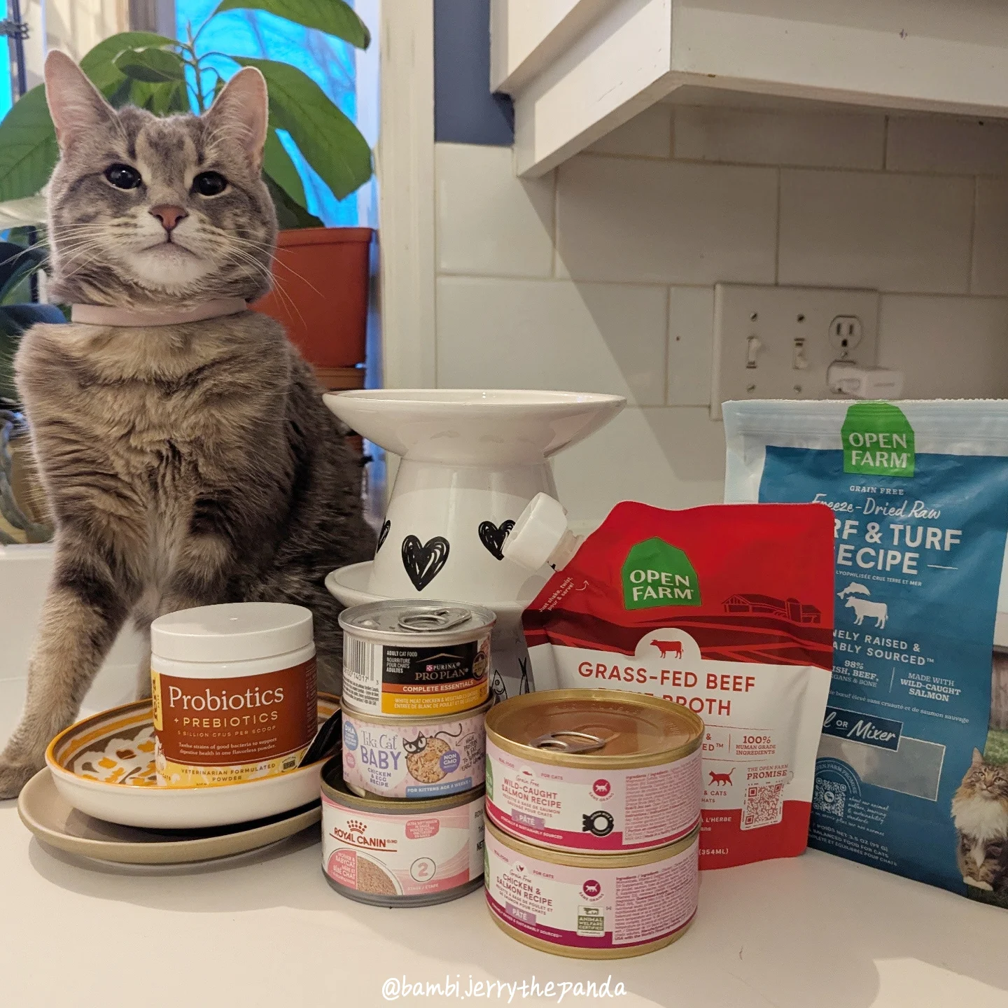 Instagram post by @bambi.jerrythepanda for Open Farm Pet. Caption reads: [...] $100 with my code JERRYBAMBIBELLA 💚....