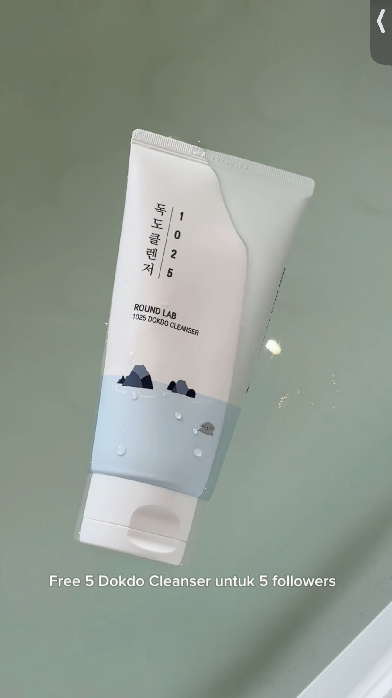 Instagram post by @dindiclaudiaa for Round Lab. Caption reads: GIVEAWAY ALERT!!
The wait is over! Round Lab just....