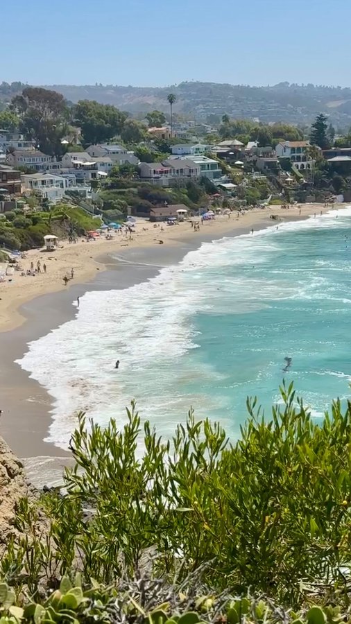 Instagram post by @thealexandrajarvis for Plant People. Caption reads: [...] mushrooms… but here we are ◡̈ 

@plantpeople....